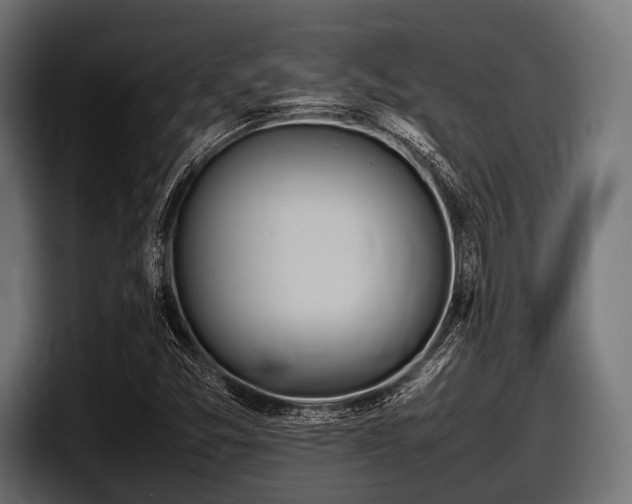 X0000097961357200803241205