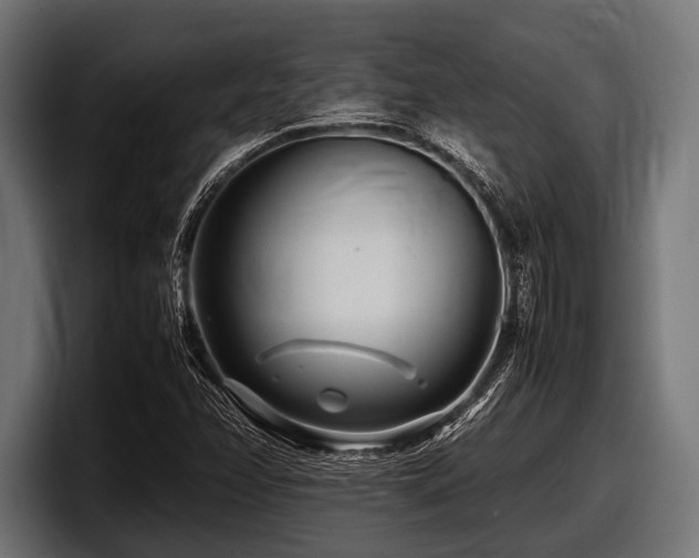 X0000097961358200803241205