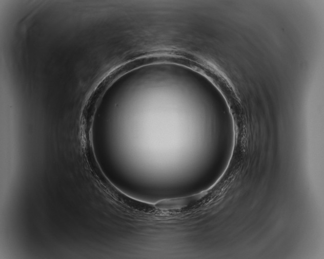 X0000097961360200803241205