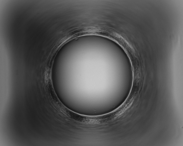 X0000097961361200803241205