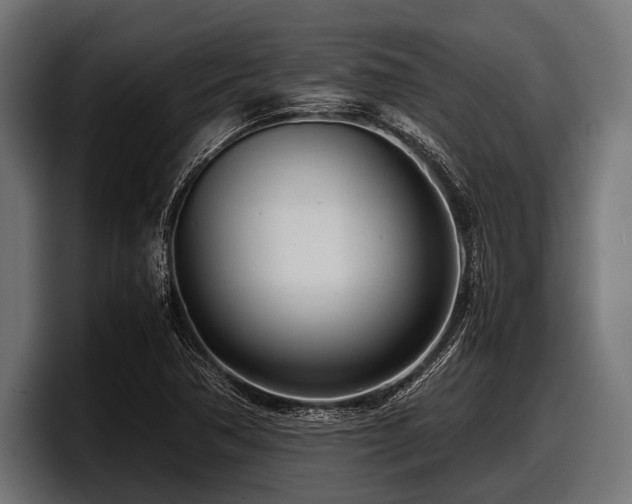 X0000097961362200803241205