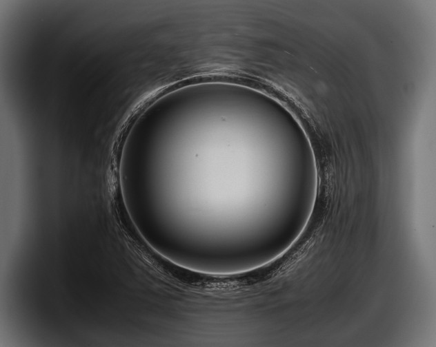 X0000097961363200803241205