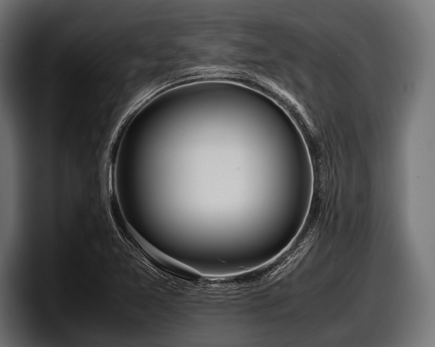 X0000097961365200803241205