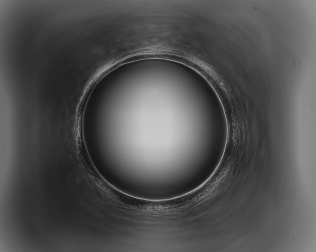 X0000097961366200803241205
