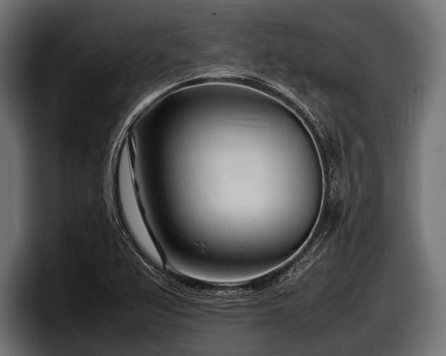 X0000097961367200803241205