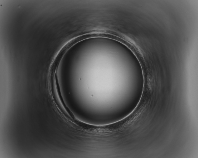 X0000097961368200803241205