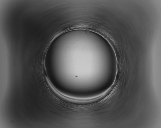 X0000097961369200803241205
