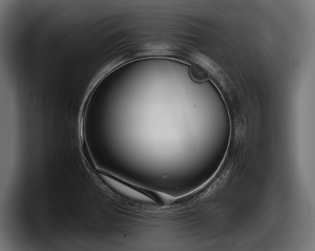 X0000097961370200803241205