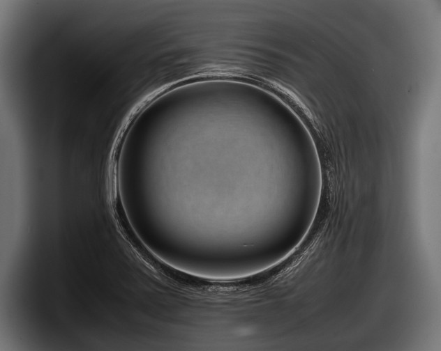 X0000097961371200803241205