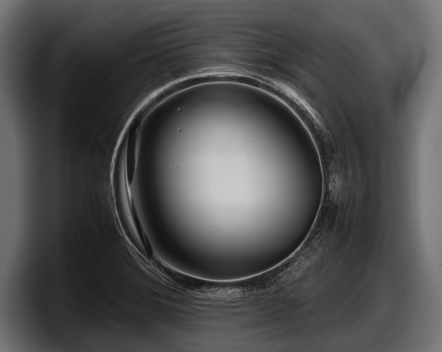 X0000097961372200803241205