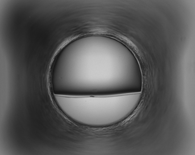 X0000097961373200803241205