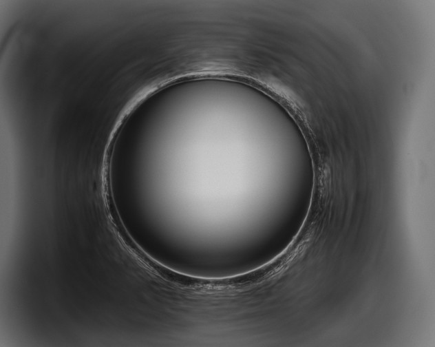 X0000097961374200803241205
