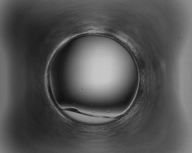 X0000097961375200803241205