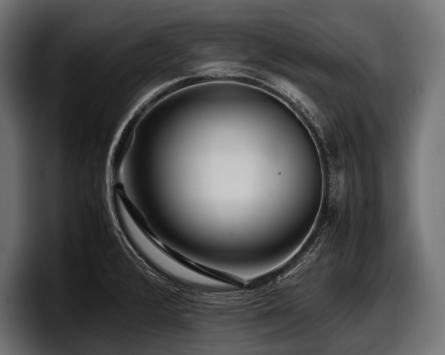 X0000097961376200803241205
