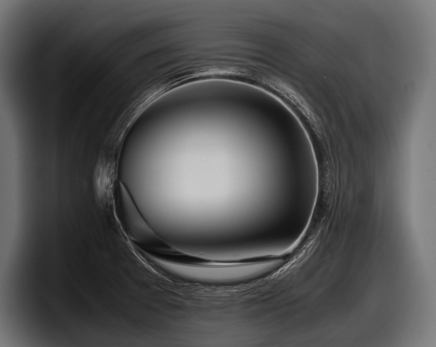X0000097961377200803241205