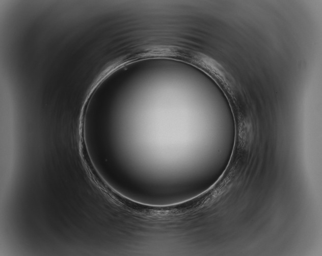 X0000097961378200803241205