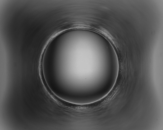 X0000097961379200803241205
