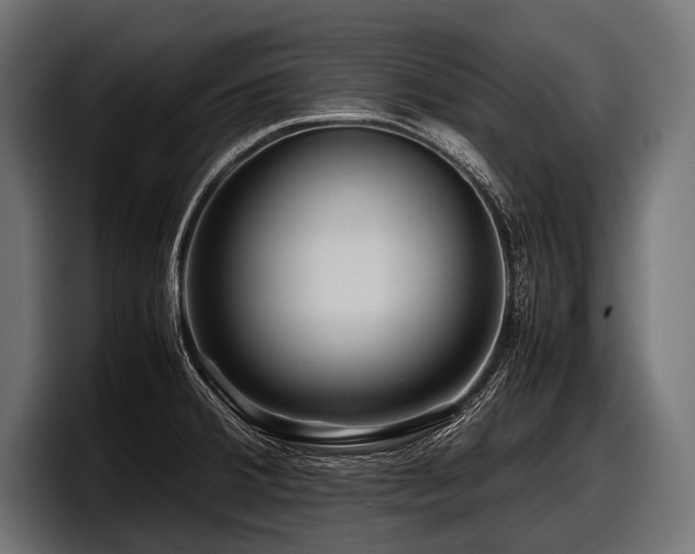 X0000097961380200803241205