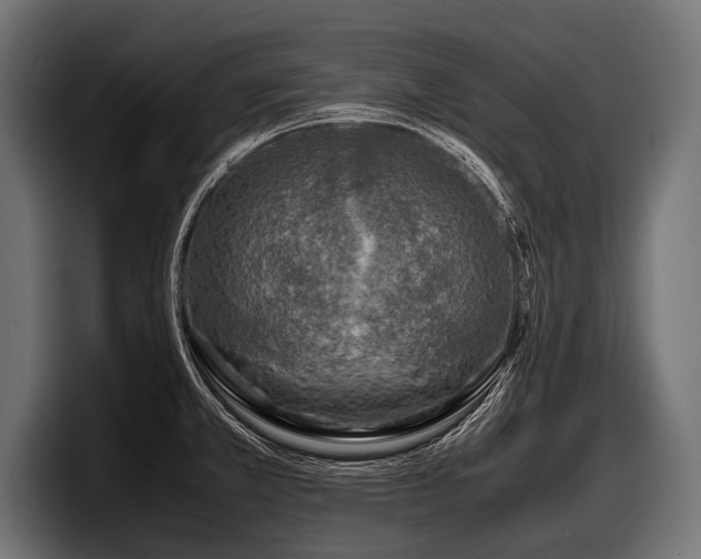 X0000097961381200803241205