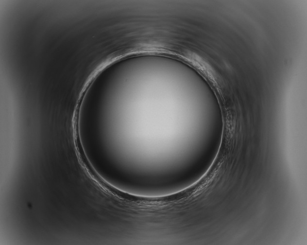 X0000097961382200803241205