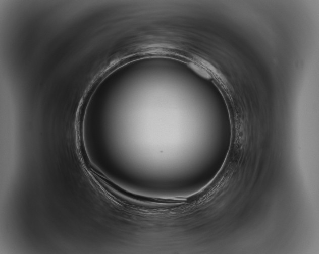 X0000097961384200803241205