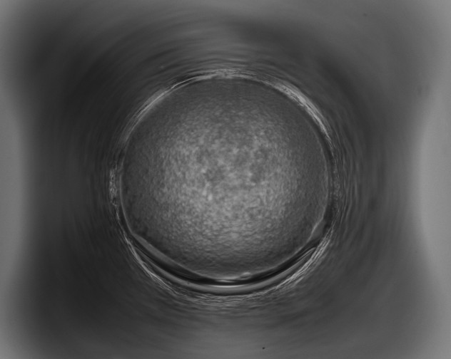 X0000097961385200803241205