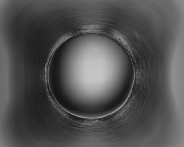 X0000097961386200803241205