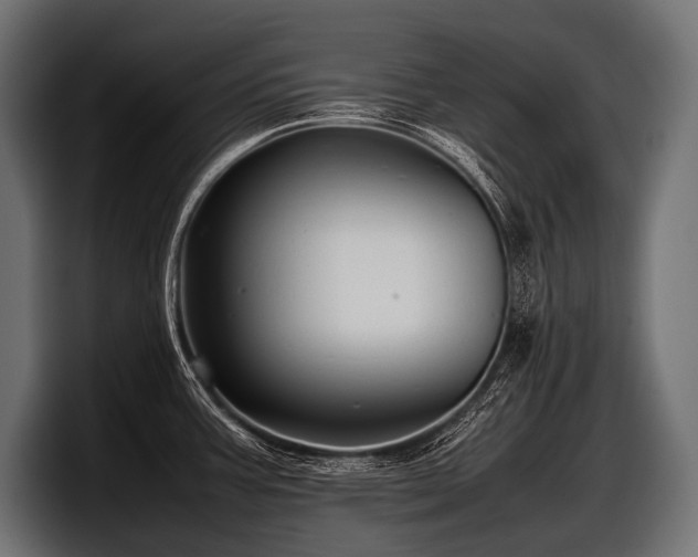 X0000097961387200803241205