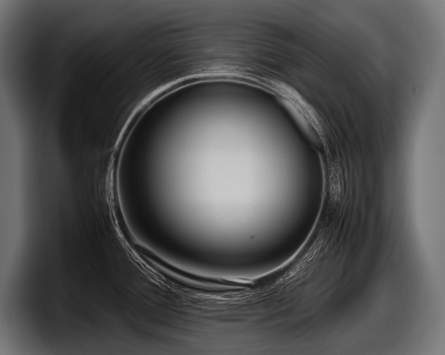 X0000097961388200803241205