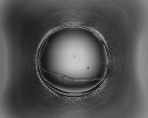 X0000097961389200803241205