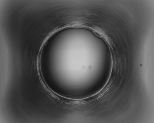 X0000097961390200803241205