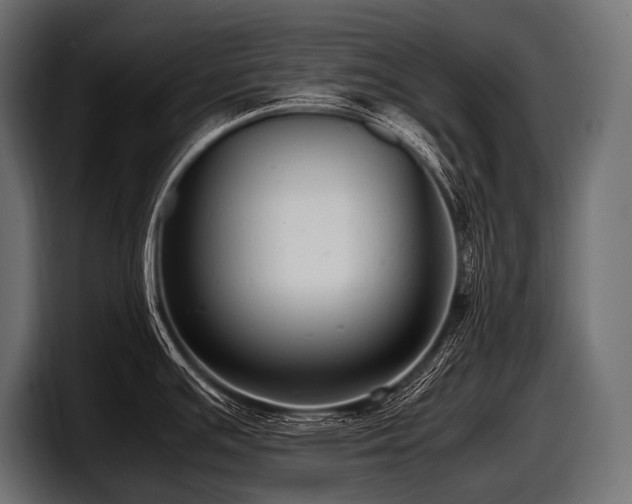 X0000097961391200803241205