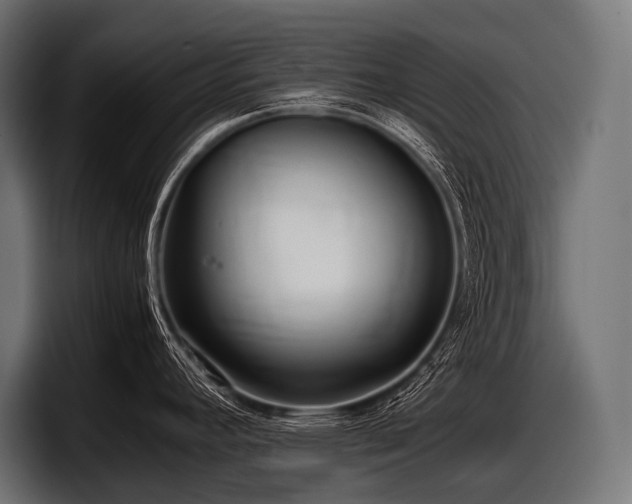 X0000097961392200803241205