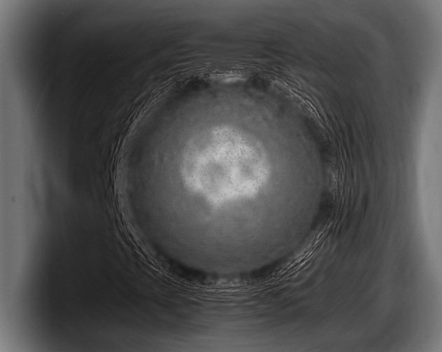 X0000097961393200803241204