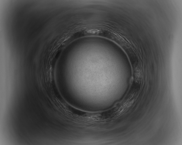 X0000097961394200803241204