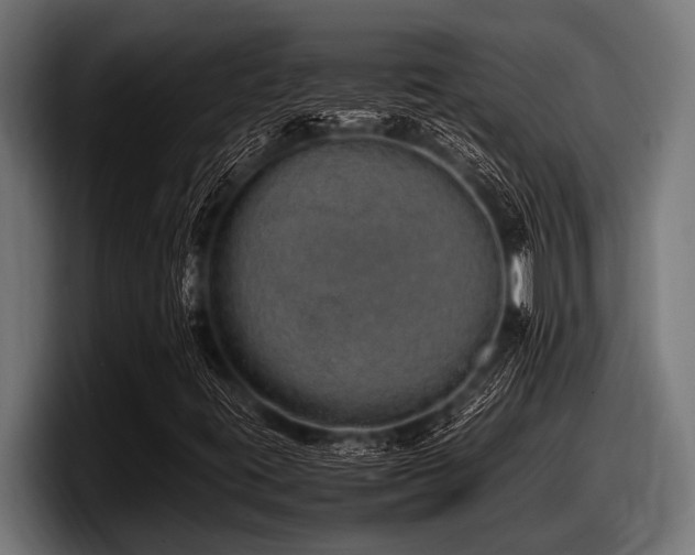 X0000097961395200803241204