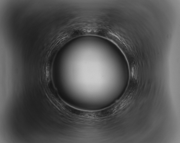 X0000097961396200803241204