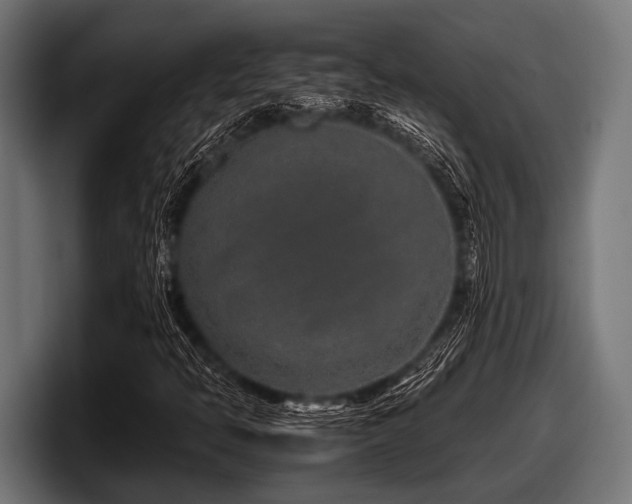 X0000097961397200803241204