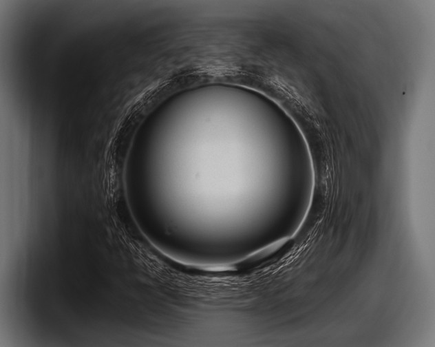 X0000097961398200803241204