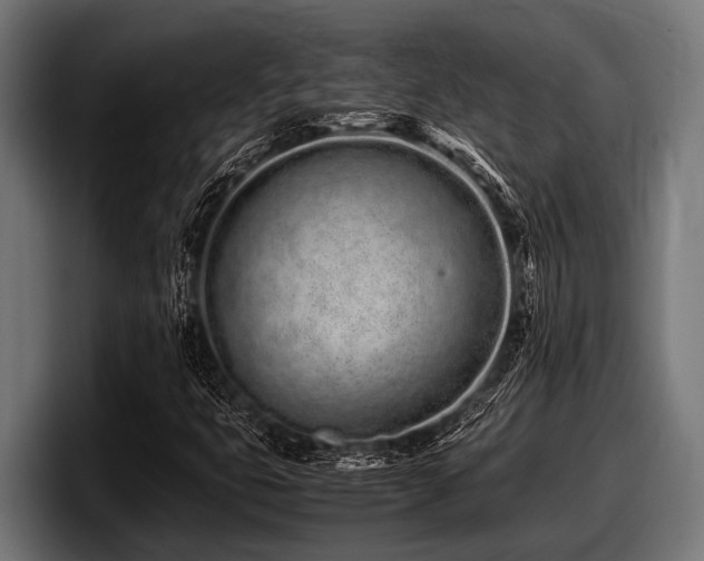 X0000097961399200803241204