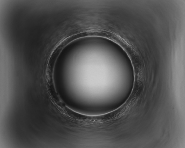 X0000097961400200803241204