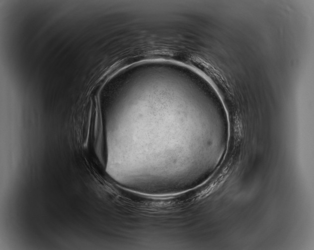 X0000097961401200803241204