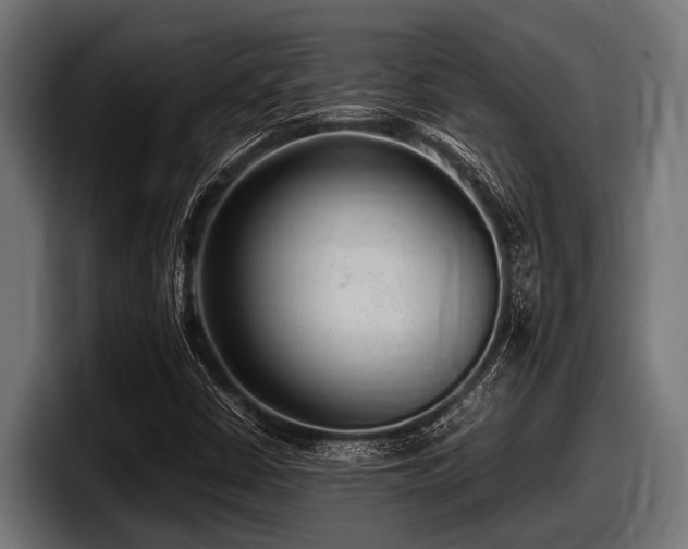 X0000097961402200803241204