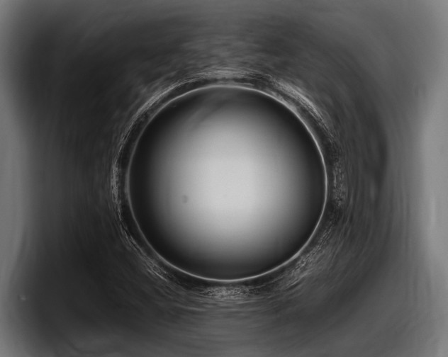 X0000097961404200803241204