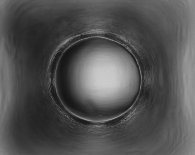 X0000097961406200803241204
