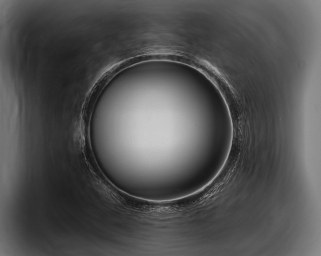 X0000097961408200803241204