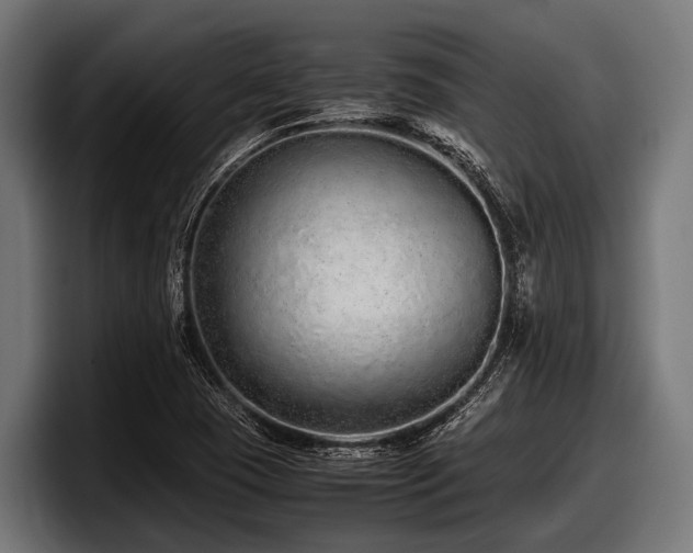 X0000097961409200803241204