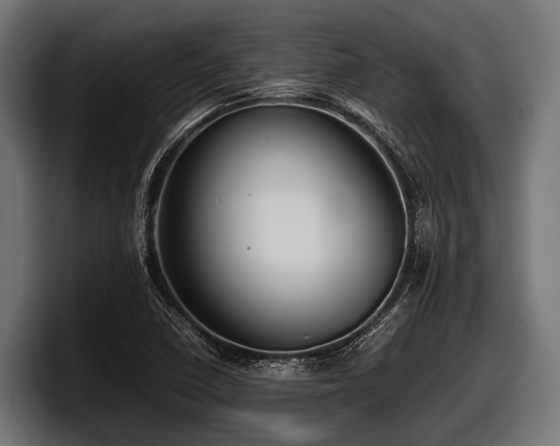 X0000097961410200803241204