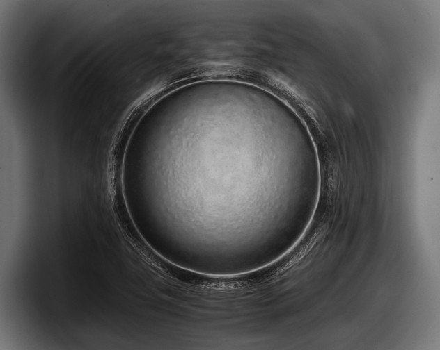 X0000097961411200803241204