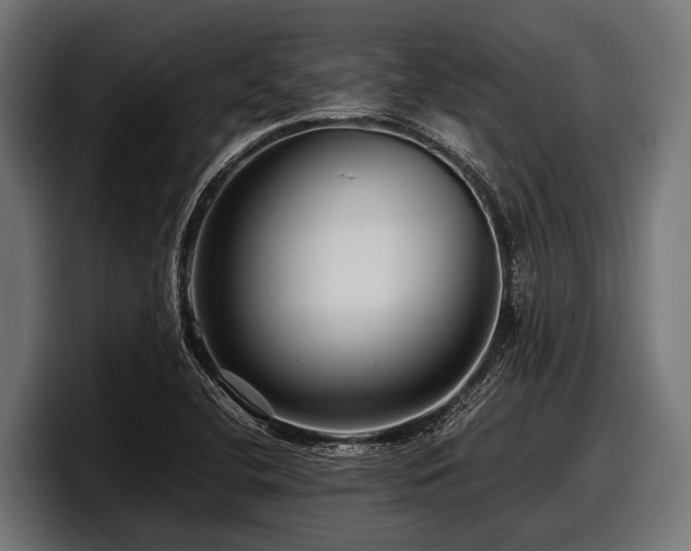 X0000097961412200803241204